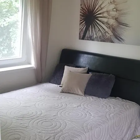 Borostyan Nyaralohaz * Fonyod