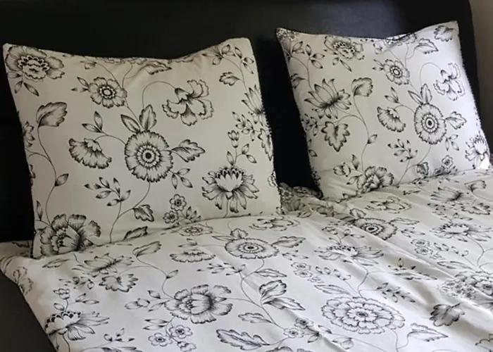 Borostyan Nyaralohaz *